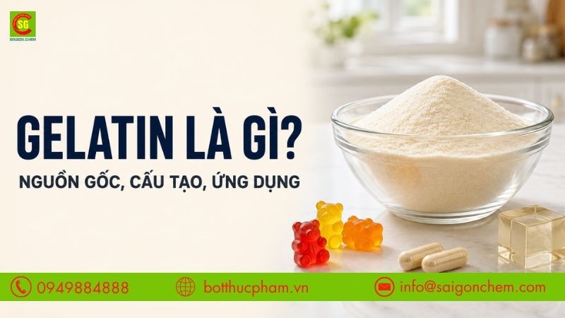 Gelatin Là Gì? Cấu Tạo, Công Dụng Và Ứng Dụng Trong Thực Phẩm